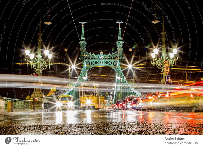 Budapest Stadt alt Szabadság híd Liberty Bridge Freiheitsbrücke Langzeitbelichtung Brücke Landkreis Regen nass Streetlife Ungarn Farbfoto