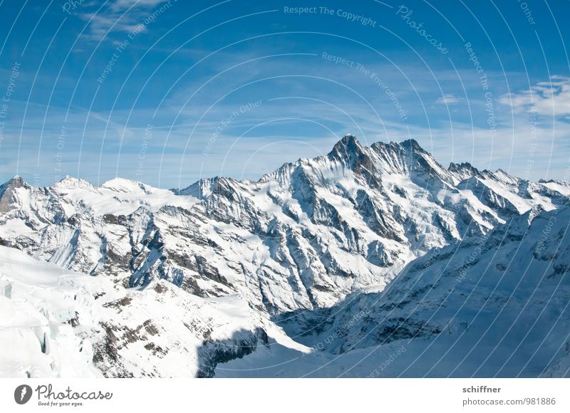 Auf zur Jungfrau! Umwelt Natur Landschaft Urelemente Sonnenlicht Winter Klima Klimawandel Schönes Wetter Eis Frost Schnee Felsen Alpen Berge u. Gebirge Gipfel