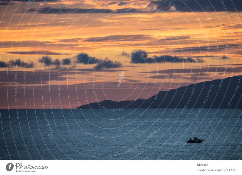 Träumerei Fischereiwirtschaft Landschaft Urelemente Luft Wasser Himmel Wolken Sonnenaufgang Sonnenuntergang Berge u. Gebirge Meer Mittelmeer Insel Ischia