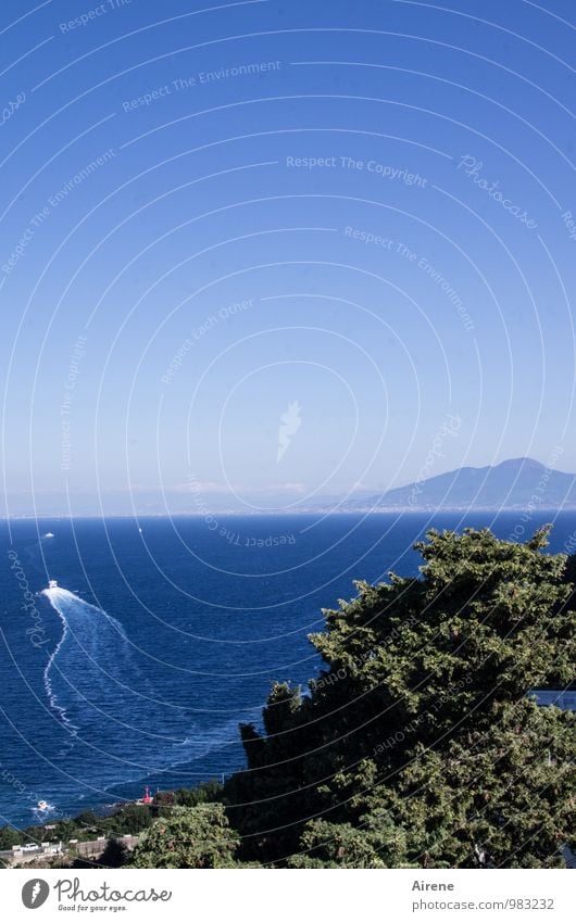 Auf zu neuen Ufern Landschaft Wolkenloser Himmel Sommer Schönes Wetter Gipfel Vulkan Vesuv Küste Meer Golf von Neapel Italien Schifffahrt Passagierschiff