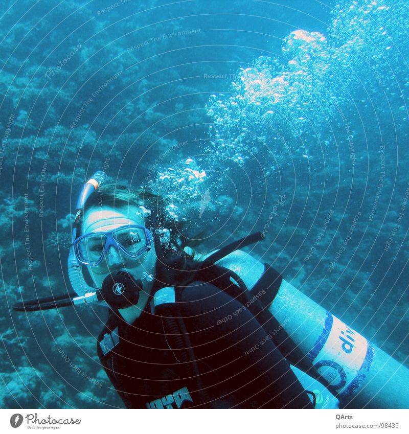 Diver with Bubbles tauchen Meer See Schnorcheln Luft Sauerstoff Korallen Wassersport Water Ocean Sea blue Underwater Snorkel Snorkeling Tank Wetsuit Mask