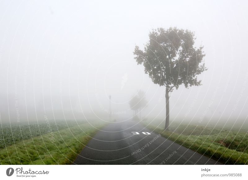Zone 30 Umwelt Landschaft Luft Herbst Winter schlechtes Wetter Nebel Baum Feldrand Ortseingang Kleinstadt Stadt Stadtrand Menschenleer Verkehr Verkehrswege