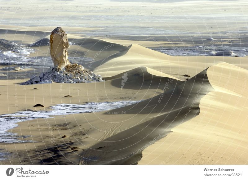 Weisse Wüste Aegypten Weiße Wüste Ägypten Afrika white desert Natur Egypt Sand Stranddüne