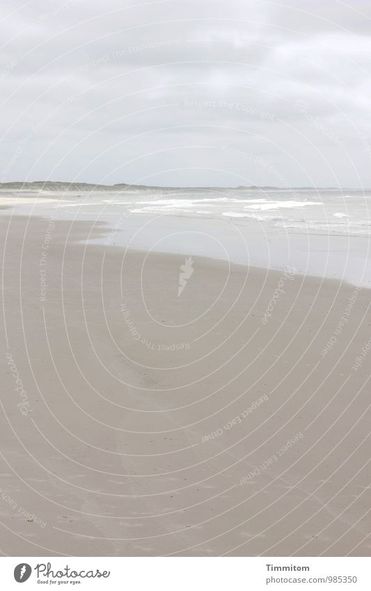 Ja, flach isses. Ferien & Urlaub & Reisen Umwelt Natur Urelemente Sand Wasser Himmel Wolken Wetter Strand Nordsee Dänemark Linie ästhetisch einfach natürlich