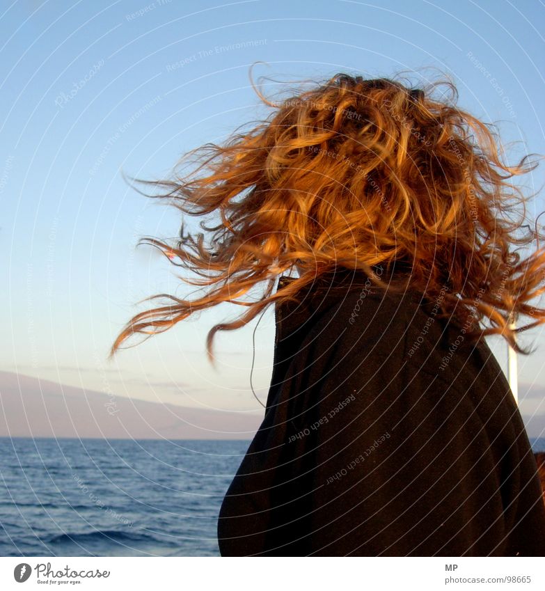 Seelöwe Drehung Frau Meer Biest Haare & Frisuren Wind Kopf Verwirbelung Wasser Locken