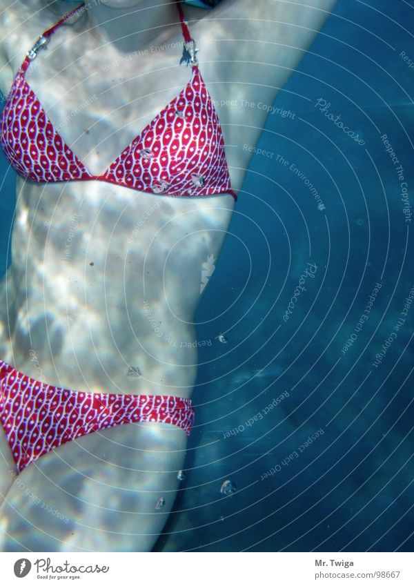 bikini tauchen Frau Bikini Schwerelosigkeit rot weiß Luftblase Wasser Sommer Unterwasseraufnahme blau Schwimmen & Baden