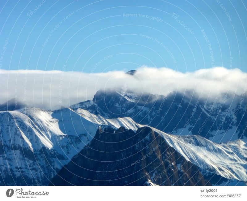 Hochnebel... Natur Landschaft Himmel Wolken Winter Schönes Wetter Nebel Schnee Alpen Berge u. Gebirge Gipfel Schneebedeckte Gipfel fantastisch Ferne gigantisch