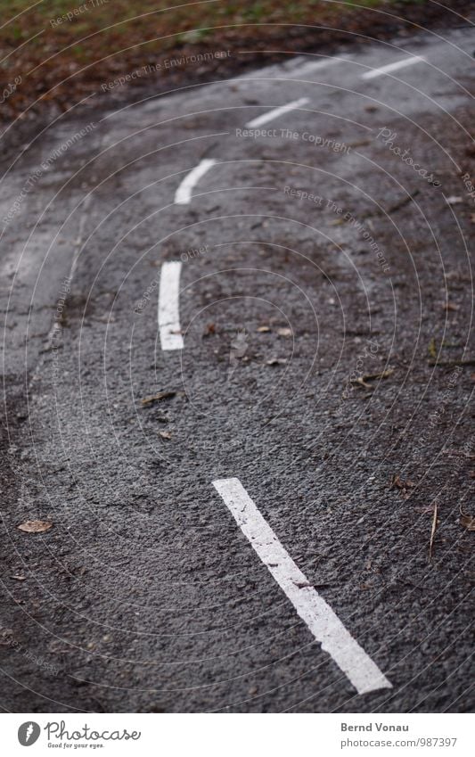 Uffbasse! Verkehr Verkehrswege Fahrradfahren Straße Wege & Pfade Schilder & Markierungen Verkehrszeichen grau weiß dreckig nass herbstlich Herbst Kurve schmal