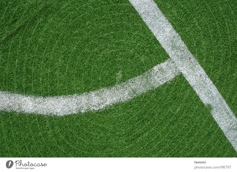 das grüne Eck Kunst Kunstrasen weiß Pulver Kunststoff Ballsport Rasen Fuß Fußball Ecke