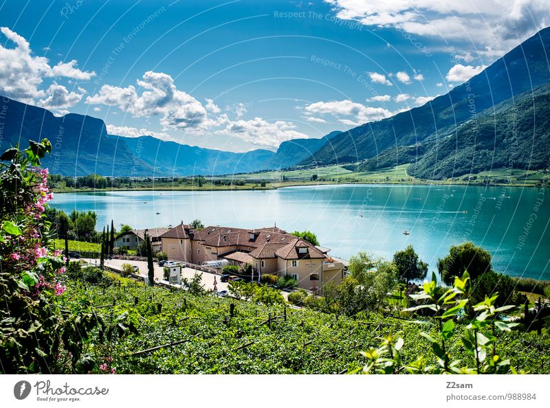 Kalterer See Umwelt Natur Landschaft Himmel Wolken Sonne Sommer Schönes Wetter Sträucher Alpen Berge u. Gebirge Seeufer Dorf nachhaltig natürlich blau grün