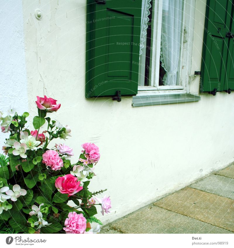 a rosegarden Stil Häusliches Leben Haus Dekoration & Verzierung Blume Rose Topfpflanze Menschenleer Mauer Wand Fenster Stein Kitsch trashig grün rosa Romantik