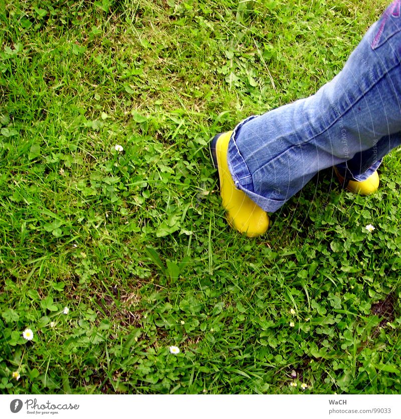 GiG (Gummistiefel im Gras) grün grasgrün Stiefel gelb Latex Kautschuk Kind Wiese Feld Freizeit & Hobby Gewitter dreckig Regen Rasen