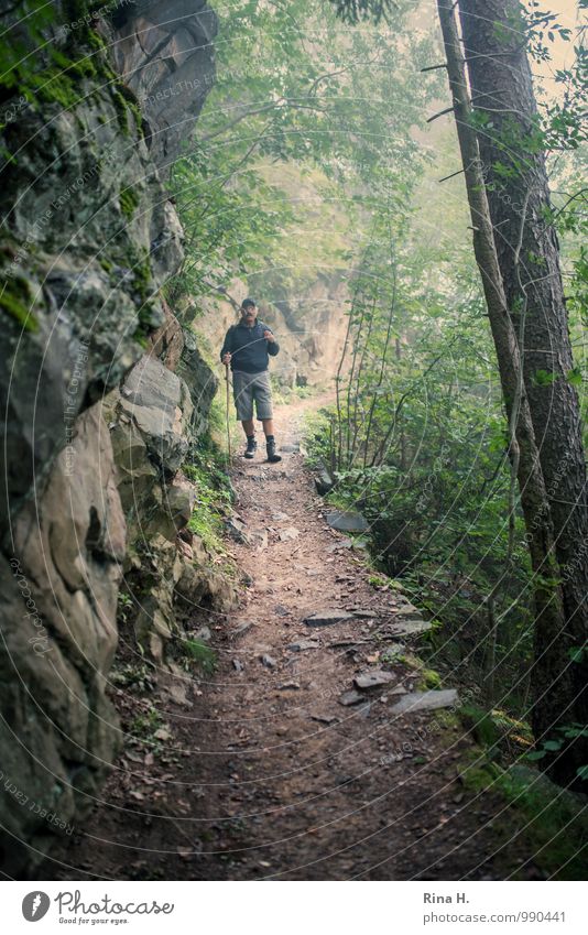 WanderLust maskulin 1 Mensch 60 und älter Senior Umwelt Natur Landschaft Pflanze Sommer schlechtes Wetter Nebel Wald Felsen Berge u. Gebirge Wege & Pfade Hose