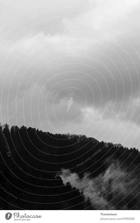 Bewölkt. Umwelt Natur Landschaft Himmel Wolken Herbst schlechtes Wetter Wald Hügel Schwarzwald dunkel natürlich schwarz weiß Gefühle Schwarzweißfoto
