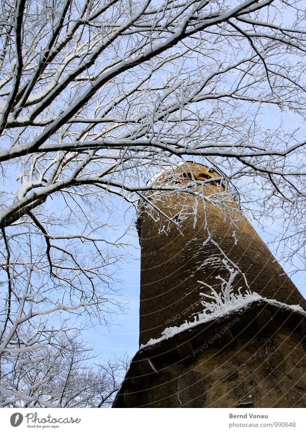 Stockwerk | ganz oben Winter Schnee Himmel Wetter Baum Burg oder Schloss Turm alt hoch blau weiß Frost Gemäuer Spaziergang eckig Holz Stein Mauerstein Wald Ast