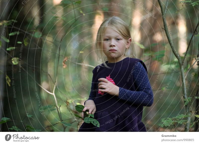 Träumerin feminin Kind 1 Mensch 3-8 Jahre Kindheit Herbst Schönes Wetter Pflanze Baum Sträucher Grünpflanze Wildpflanze Wald träumen warten Farbfoto