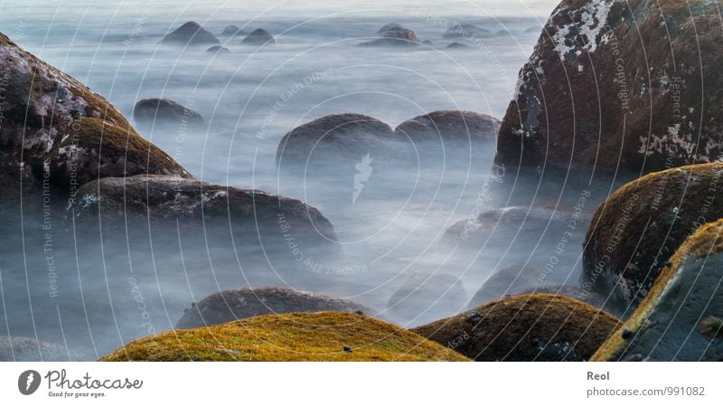 Mystisch Umwelt Natur Urelemente Erde Wasser Wellen Küste Strand Meer Atlantik Stein Felsen Felsküste gruselig grau weiß mystisch Moos Silhouette Nebelmeer