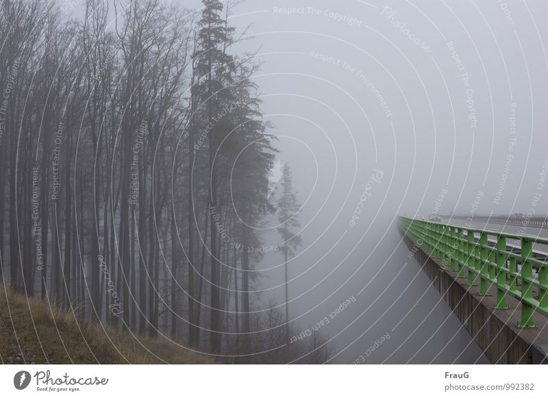 Nebelfahrt Himmel Herbst Wetter Baum Wald Berghang Brücke Bauwerk Autobahnbrücke Brückengeländer Straßenverkehr Autofahren PKW Beton Metall grau grün gefährlich