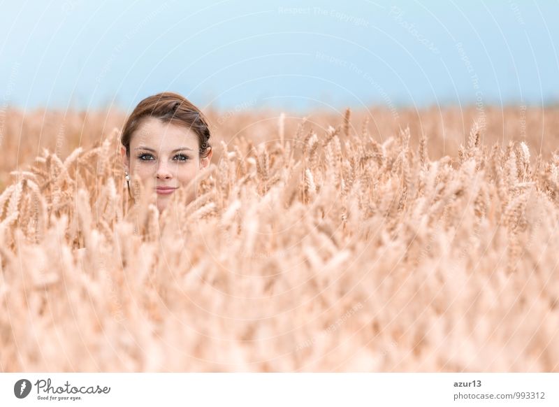 Funny young woman hides herself in cornfield. Beautiful girl playing hide and seek in nature. Special perspective. Copy space Sommer Mensch Frau Erwachsene