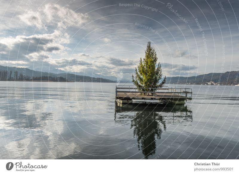 Weihnachten am See Wellness Leben harmonisch Wohlgefühl Zufriedenheit Sinnesorgane Erholung ruhig Angeln Tourismus Ausflug Winter Winterurlaub