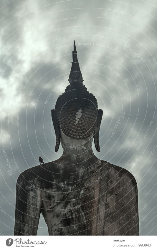 Die große Stein - Statue eines Buddha von der Rückseite mit einem Vogel auf der Schulter Kunst Kunstwerk Skulptur Himmel Wolken Gewitterwolken schlechtes Wetter