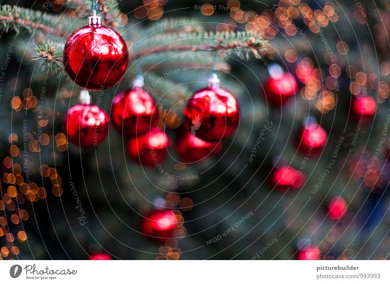 Christbaumkugeln Winter Wohnung Feste & Feiern Weihnachten & Advent Baum Weihnachtsbaum glänzend grün rot Stimmung Farbfoto Außenaufnahme Menschenleer