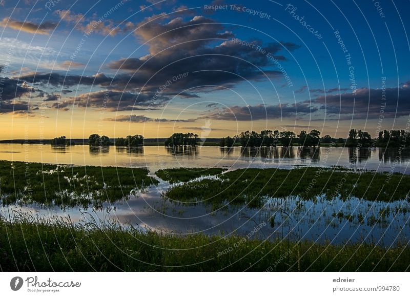 Abendstimmung an der Elbe Natur Landschaft Wasser Himmel Wolken Sonnenaufgang Sonnenuntergang Baum Flussufer Schnakenburg Einsamkeit Hochwasser Farbfoto