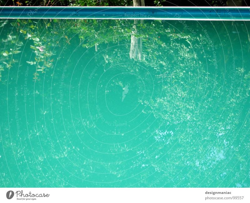 Pool 2.0 beta Reflexion & Spiegelung grün türkis hell-blau Pflanze Wasserpflanze Am Rand parallel Streifen Schwimmbad ruhig Einsamkeit leer Baum Blatt nass