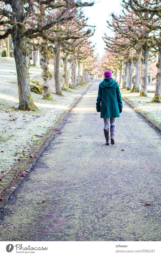 durch die Allee feminin Junge Frau Jugendliche Erwachsene 1 Mensch 30-45 Jahre Winter Baum Moos Garten Park gehen laufen außergewöhnlich Coolness frei frisch