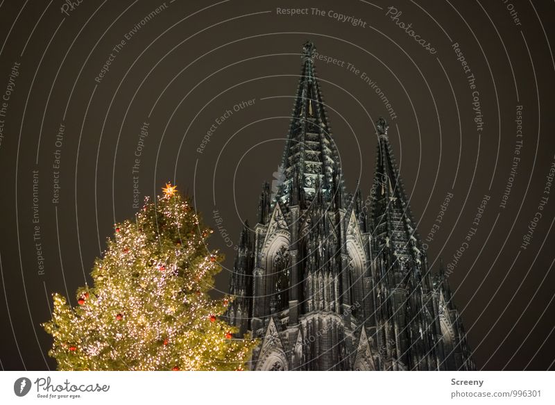 Drei Spitzen Weihnachten & Advent Köln Stadt Stadtzentrum Kirche Dom Sehenswürdigkeit Wahrzeichen Kölner Dom leuchten Turm Tanne Weihnachtsmarkt Lichterkette