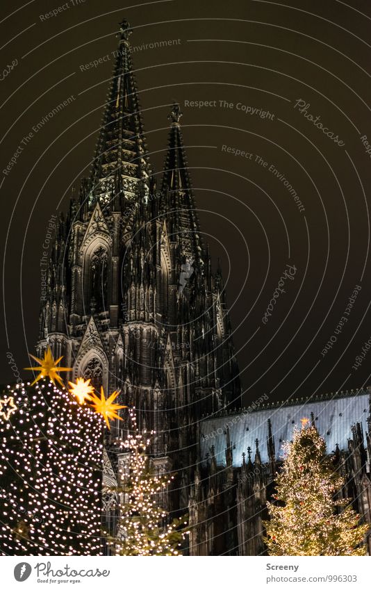 Weihnachten am Dom Weihnachten & Advent Köln Stadt Stadtzentrum Kirche Sehenswürdigkeit Wahrzeichen Kölner Dom leuchten Spitze Tanne Weihnachtsmarkt