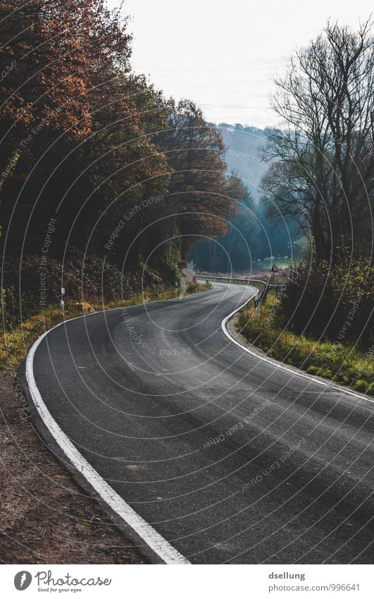 Linienführung Landschaft Herbst Wald Verkehrswege Autofahren Straße Kurve dunkel kalt rund trist braun grau grün schwarz Beginn Einsamkeit Umweltverschmutzung