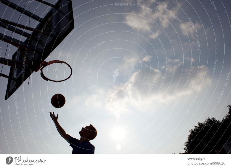 Das Runde muss ins Runde Basketball Basketballkorb Basketballplatz Basketballer Mensch maskulin Junger Mann Jugendliche Erwachsene Leben 1 18-30 Jahre