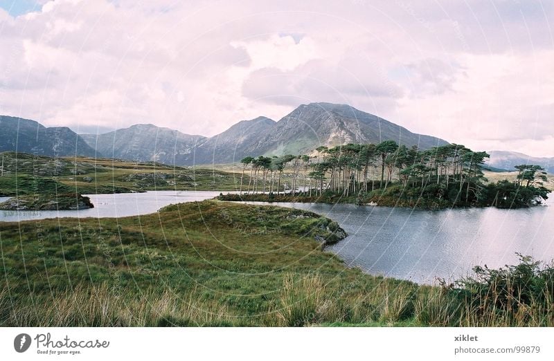 Schweigen-Ansicht See Sommer Gras Farbe Frieden Wasser Berge u. Gebirge Republik Irland Natur Erholung Gelassenheit Windstille aussruhen Landschaft Wolkenhimmel