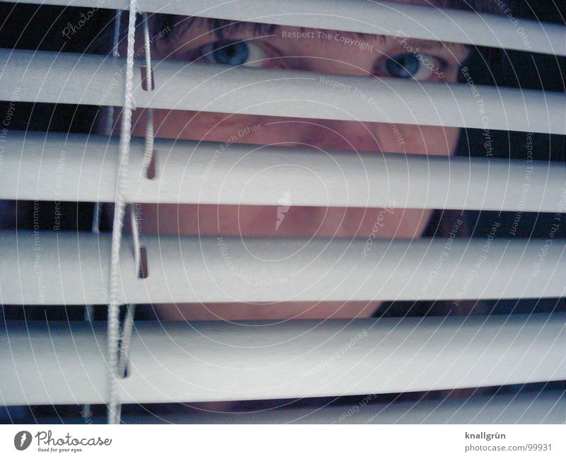 Augen-Blick Jalousie grau Streifen verdeckt Aluminium Sichtschutz Durchblick Frau Konzentration Gesicht verstecken Kopf Lamelle beobachten