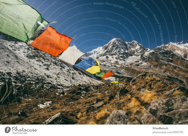 Gebetsfahnen in den Bergen Natur Landschaft Wolkenloser Himmel Wind Felsen Berge u. Gebirge Gletscher Zeichen Fahne fliegen gigantisch Nepal Himalaya